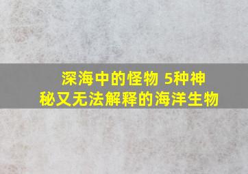 深海中的怪物 5种神秘又无法解释的海洋生物